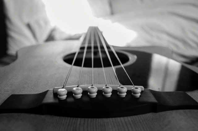 Ilustrasi alat musik kecapi. Foto: Pexels.com/Stephen Niemeier