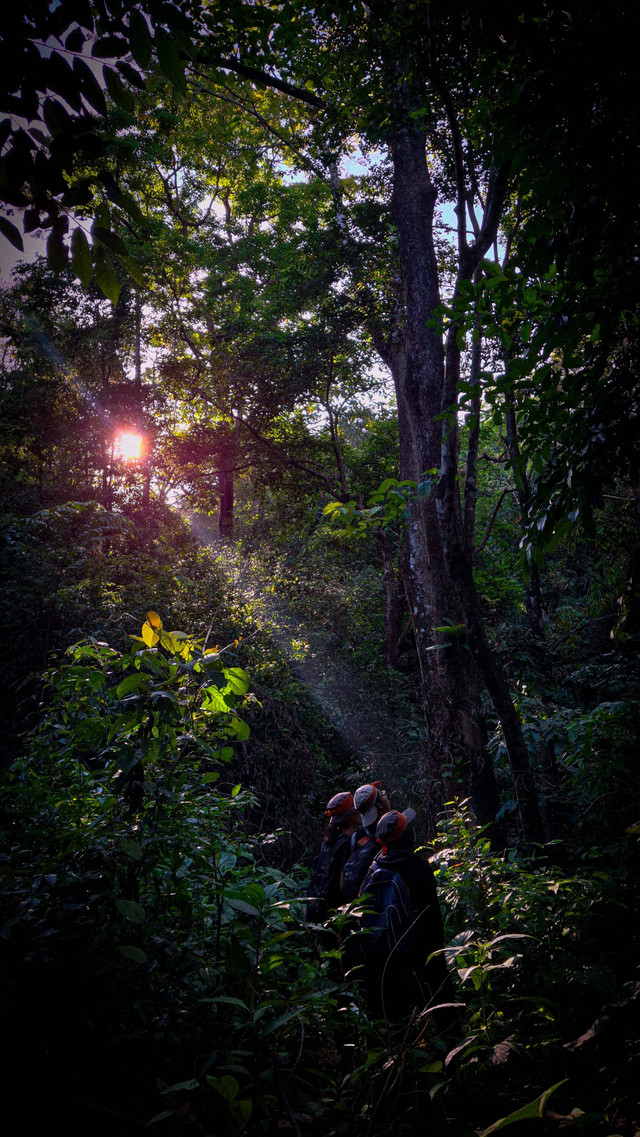 Pengamatan Owa jawa di gunung honje. Sumber: Dokumentasi Pribadi