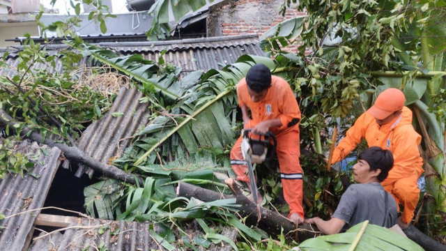 Petugas PPSU memotong pohon yang tumbang menimpa rumah warga, Minggu (10/11/2024). Foto: BPBD DKI Jakarta