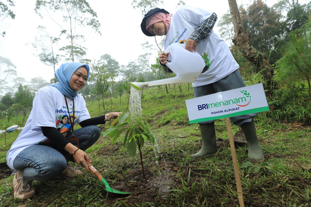 BRImenanam dalam menerapkan Environmental, Social, and Governance (ESG). Foto: Dok. BRI