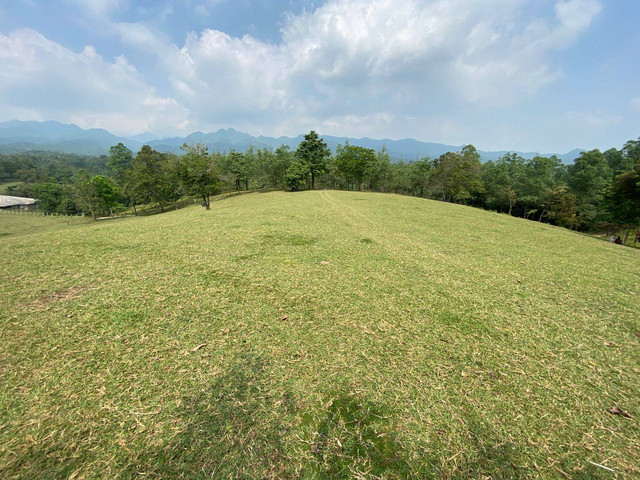 Bukit Waruwangi menyuguhkan pemandangan alam yang hijau dan asri. Foto : foto asli pemandangan Bukit Waruwangi yang saya kunjungi.