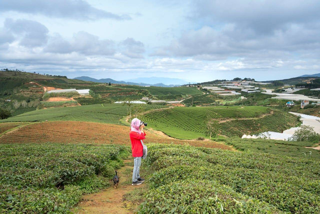 Wisata Agro Wonosari. Foto hanya ilustrasi, bukan tempat sebenarnya. Sumber: Pexels/Quang Nguyen Vinh