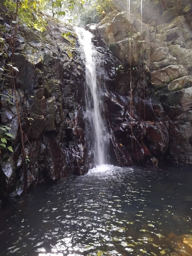 curug Paniis sebagai salah satu objek wisata di TNUK. sumber: dokumentasi tim ekspedisi Saltu Tectum