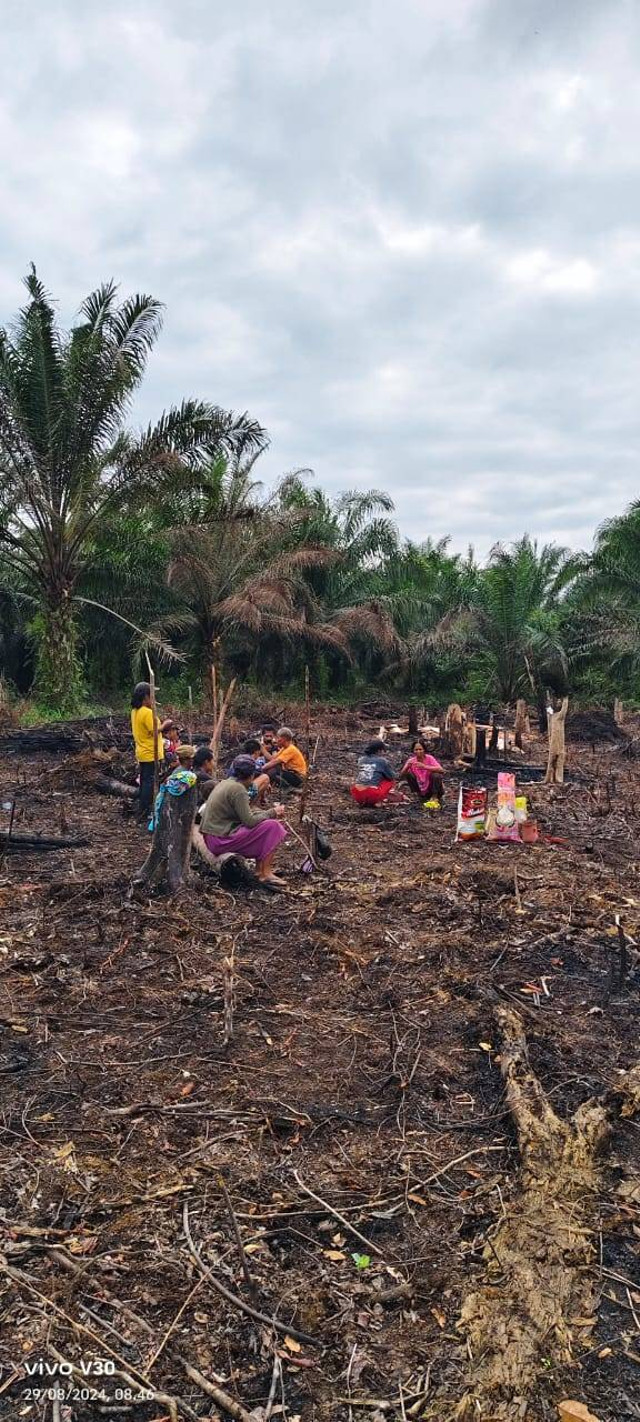 Kegiatan Nugal di Desa Selimatan Jaya, sumber foto : Jesica Olivia, warga Desa Selimatan Jaya.