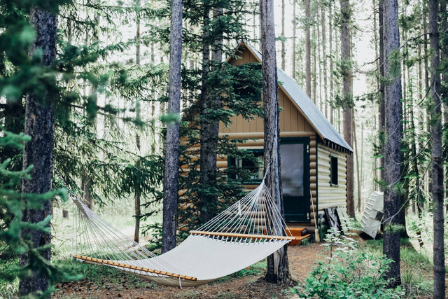 Forest Cabin Bandungan. Foto hanya ilustrasi, bukan tempat sebenarnya. Sumber: unsplash.com/Cara Fuller.