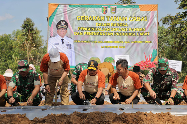 Gerakan Tanam Cabai dalam upaya mengendalikan inflasi pangan dan peningkatan produksi cabai oleh Pemprov Lampung | Foto : Dok. Adpim