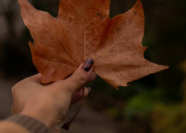 Ilustrasi Nail Art yang Cocok untuk Kulit Gelap, Unsplash/Caroline Veronez