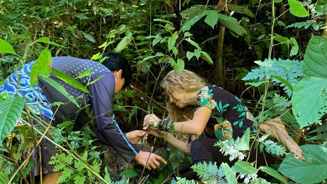 Menanam Pohon Bersama Turis Asing di Gunung Leuser, Timbang Jaya, Kecamatan Bahorok Kabupaten Langkat.