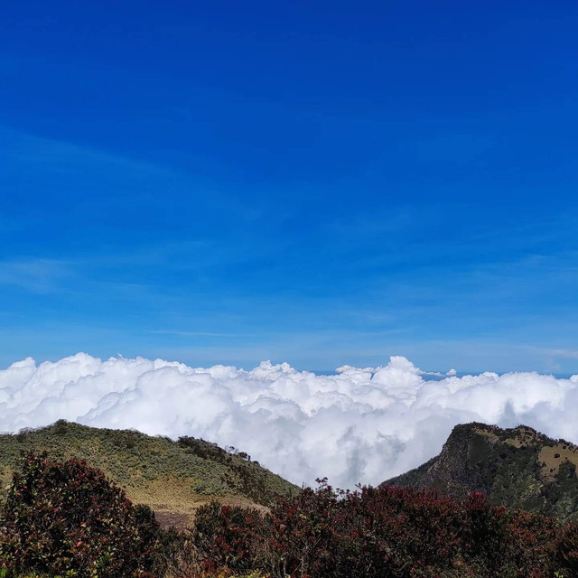 Lautan awan dari Puncak Gunung Lawu. Sumber: Penulis