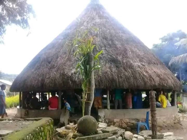 Pohon Jagung yang Diikatkan pada "Ai Tos / Ai Dudun" Foto: Dokumen Pribadi