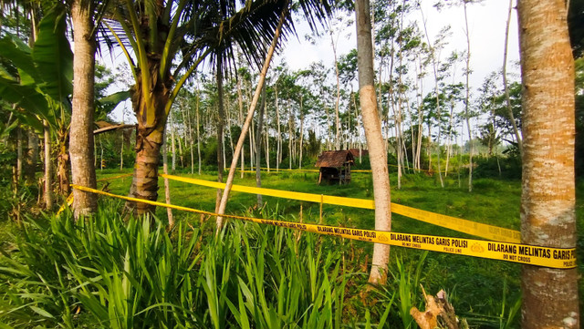 TKP pemerkosaan-pembunuhan siswi MI Banyuwangi. Dok: kumparan