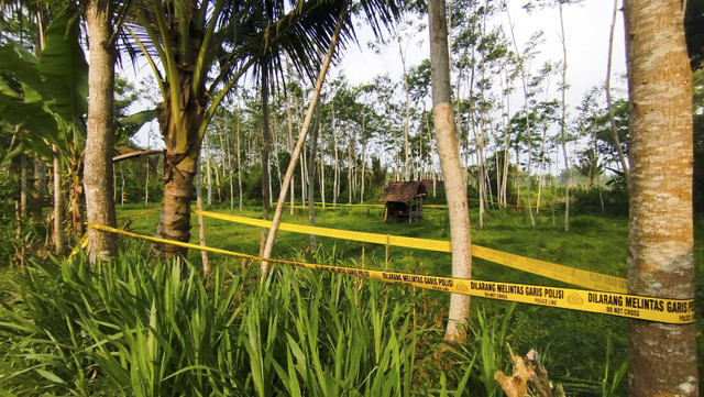 Tempat kejadian perkara pemerkosaan dan pembunuhan terhadap siswa MI Banyuwangi yang berjarak 100 dari rumah korban diberi garis polisi, Kamis (14/11/2024). Foto: kumparan