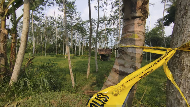 Tempat kejadian perkara pemerkosaan dan pembunuhan terhadap siswa MI Banyuwangi yang berjarak 100 dari rumah korban diberi garis polisi, Kamis (14/11/2024). Foto: kumparan