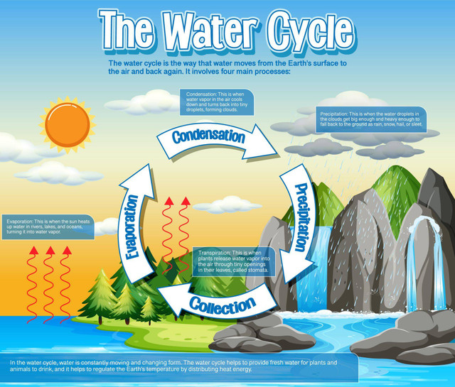 Siklus Hidrologi, sumber: www.freepik.com