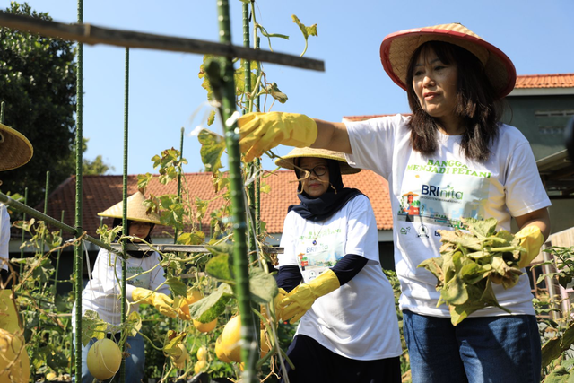 Program BRI Bertani di Kota (BRInita) yang berhasil mendukung peran perempuan dalam mendorong kesejahteraan. Foto: Dok. BRI