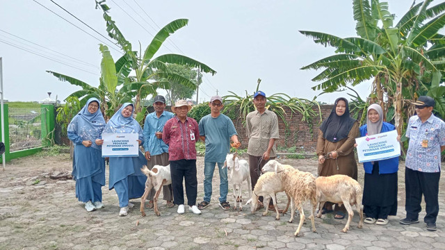 Luncurkan Program Peternak Unggul, DT Peduli Jateng Bantu Peternak Korban Banjir