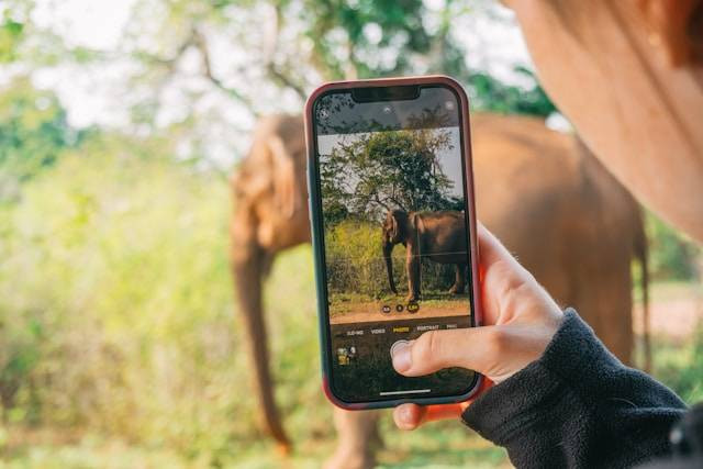 Ilustrasi fotografi iPhone. Foto: Unsplash.com/Paul Kapischka