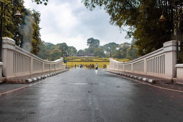 Tempat wisata di Bogor yang murah dan hits. Foto hanyalah ilustrasi bukan tempat sebenarnya. Sumber: Unsplash/Rafael Atantya