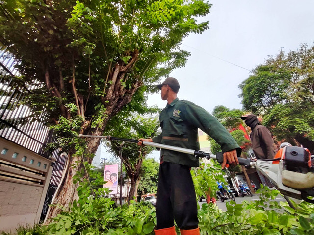 Perantingan pohon yang gencar dilakukan Pemkot Surabaya memasuki musim hujan. Foto: Diskominfo Surabaya