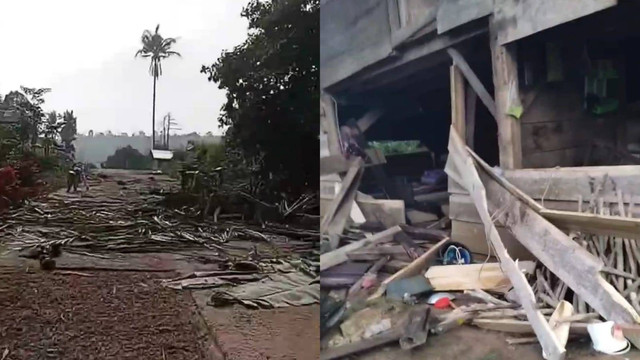 Rumah warga yang dirusak kawanan gajah liar di Dusun Talang Sindang, Kecamatan Bandar Negeri Suoh, Lampung Barat. | Foto: Dok Istimewa