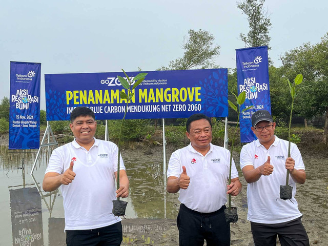 Cegah Abrasi di Pantura Demak, Telkom Indonesia Tanam 10 Ribu Mangrove. Foto: Intan Alliva Khansa/kumparan