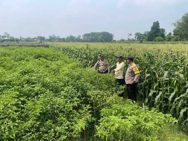 Lakukan Sambang, Polsek Ngantru Ajak Petani Dukung Ketahanan Pangan Nasional