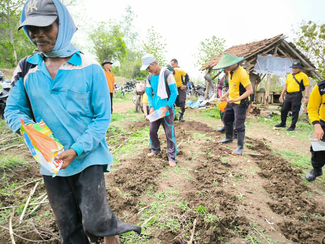 Polsek Rejotangan Dukung Ketahanan Pangan Nasional Dengan Tanam Jagung 