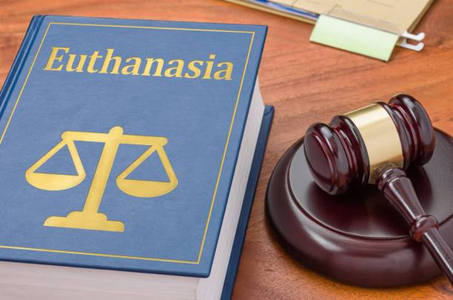 Ilustrasi Euthanasia dalam perspektif etik {Sumber: https://www.istockphoto.com/id/foto/buku-hukum-dengan-hadiah-eutanasia-gm1285064696-382009827?searchscope=image%2Cfilm}  