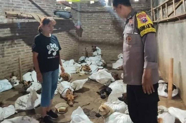 Polisi gerebek gudang penyimpanan anjing di Banyuwangi. Foto: Dok. Istimewa