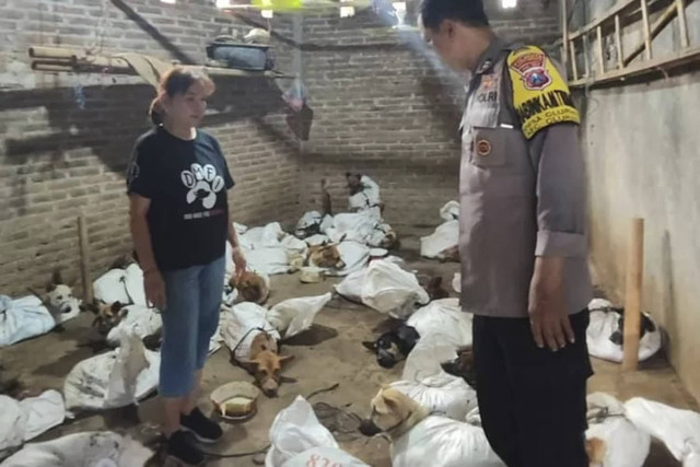 Gudang penampungan anjing di Kecamatan Cluring, Banyuwangi, Sabtu, (16/11/2024). Foto: Dok. Istimewa