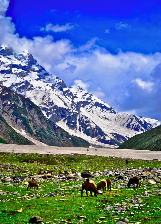 Suasana Lembah Naran/ Foto: Ridwan Miftahurrochman