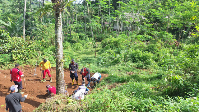 Ketahanan Pangan Berlanjut, Lapas Plantungan Optimalkan Lahan untuk Sayuran (1)