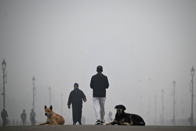 Warga beraktivitas saat langit diselimuti kabut asap akibat polusi udara di New Delhi, India, Senin (18/11/2024). Foto: Sajjad HUSSAIN / AFP