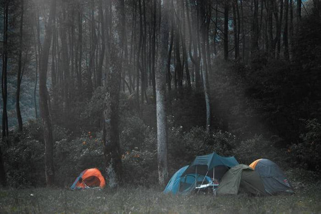 Tempat Ngecamp di Bandung. Foto hanyalah ilustrasi bukan tempat sebenarnya. Sumber: Unsplash/Mikazuki Nisshoku