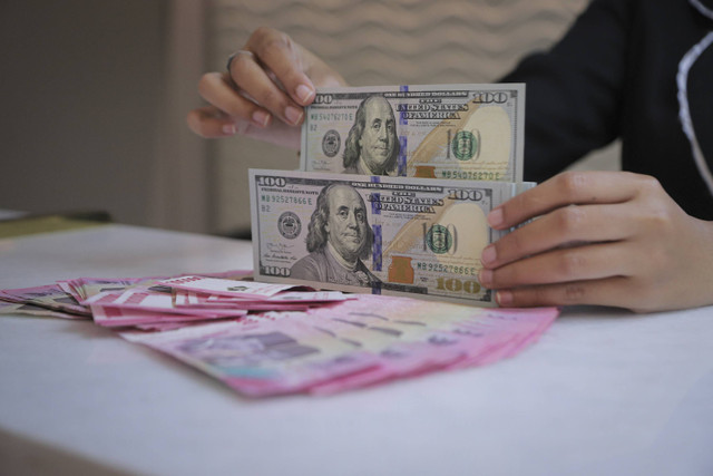 Seorang petugas menghitung pecahan Dolar AS dan Rupiah di kawasan Kwitang, Jakarta, Senin (18/11/2024). Foto: Iqbal Firdaus/kumparan