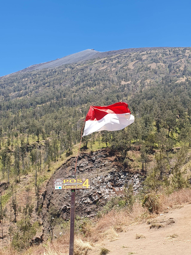 Foto Taman Nasional Gunung Rinjani (dokuemntasi pribadi)