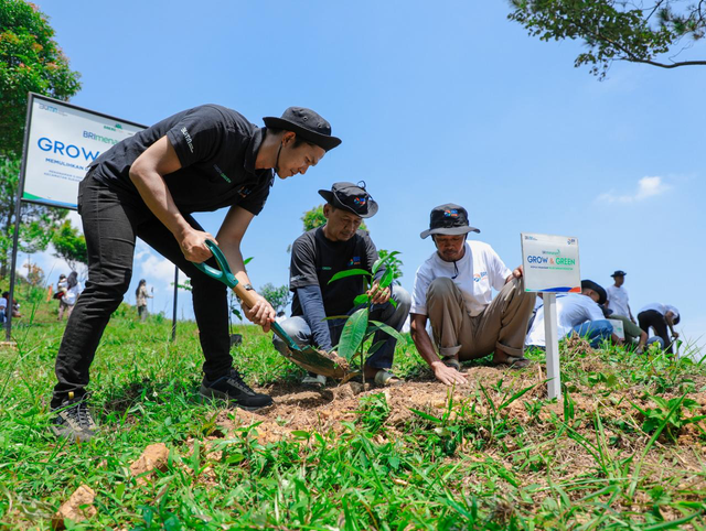 Kelompok Tani Hutan (KTH) Pabangbon bersama BRI Peduli lewat program BRI Menanam-Grow & Green melakukan penanaman pohon di hutan bekas tambang di Desa Malasari, Kecamatan Nanggung, Kabupaten Bogor . Foto: Dok. BRI