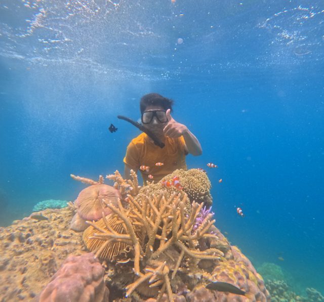 Wisatawan sedang berfoto dengan ikan Nemo yang sangat indah dan menarik di bawah laut Karimunjawa, Jepara, Jawa Tengah, Sumber Foto Dokumentasi Pribadi. Syarif Hidayat. 