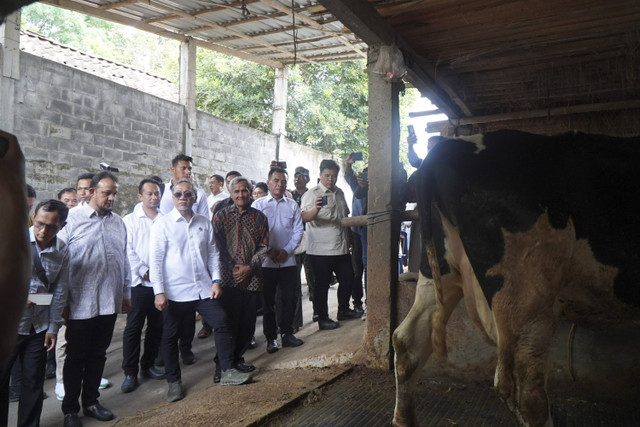 Menteri Koordinator Bidang Pangan Zulkifli Hasan (Zulhas) di Boyolali, Jawa Tengah. Foto: Dok. Istimewa