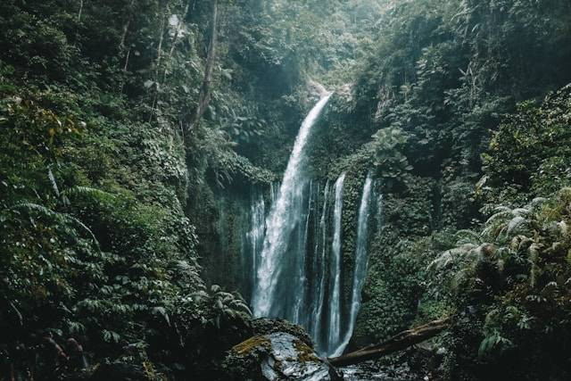 Air terjun di Lombok. Foto: Lombok. Sumber: Unsplash/Benjamin Janos