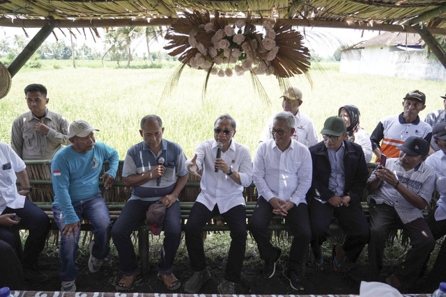 Menko Pangan Zulhas melakukan dialog dengan petani Kaliboto Kidul, Lumajang, Jawa Timur,  Rabu (20/11/2024). Foto: Dok. Kemenko Pangan