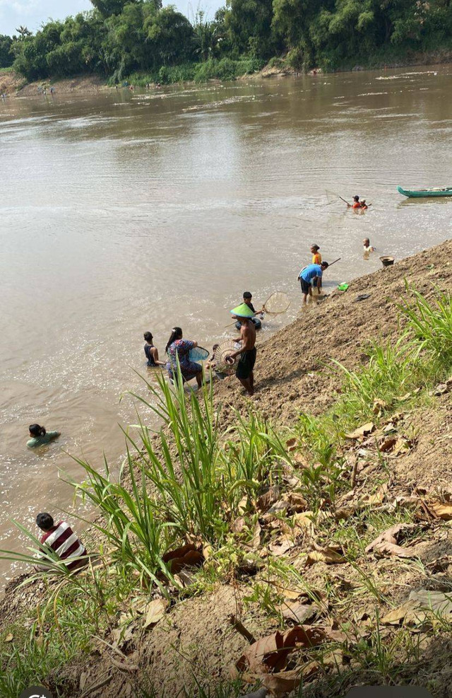 warga yang menangkap ikan saat pladu. foto oleh: Hanika/penulis