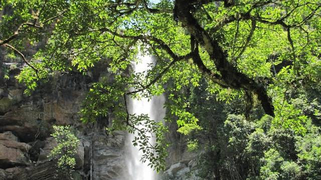 Curug di Banyumas. Foto hanyalah ilustrasi, bukan tempat yang sebenarnya. Sumber: Unsplash/Alana Reyneke