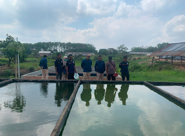 Bukit Asam berhasil mengubah lahan bekas galian tidak produktif menjadi kolam budidaya ikan dan tempat penanaman sayur. Foto: Dok. Bukit Asam