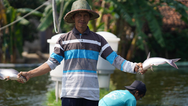 Panen ikan patin. Foto: Dok. eFishery