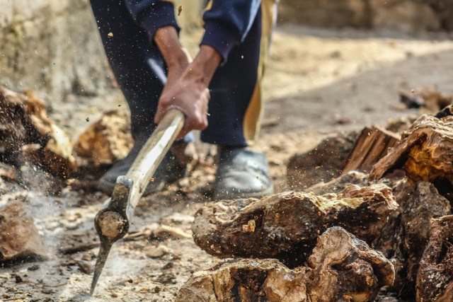 Ilustrasi kapak untuk kegiatan pertanian Foto: Pexels.com/Samer Daboul