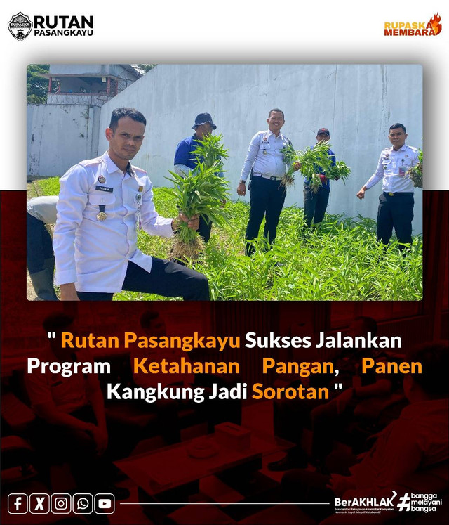 RUTAN PASANGKAYU SUKSES JALANKAN PROGRAM KETAHANAN PANGAN,PANEN KANGKUNG SUKSES