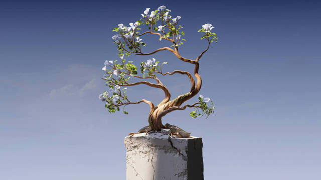 Ilustrasi Cara Pruning Bonsai Loa. Pexels/Google DeepMind