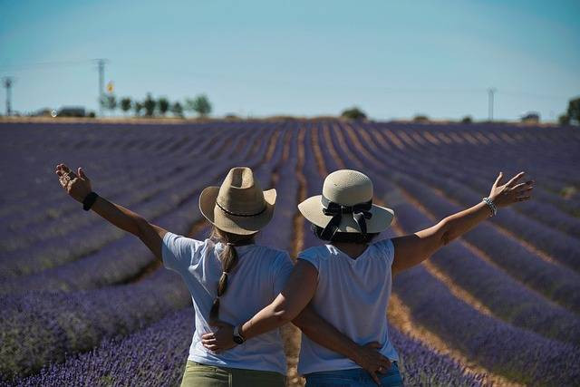 https://pixabay.com/photos/women-lavender-nature-guadalajara-7341444/