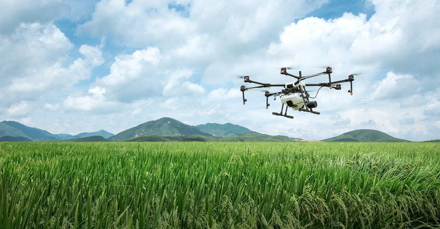 Pemantauan Pertanian dengan Drone source: pixabay